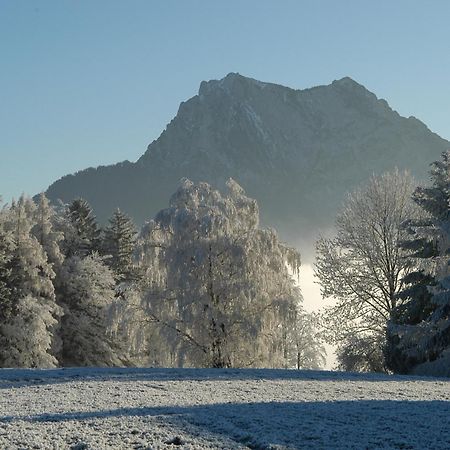Hotel Altmuensterhof Εξωτερικό φωτογραφία